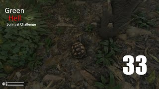 Finding Turtles after a rough day  Green Hell  Survival and Build challenge  EP33 [upl. by Guimond794]