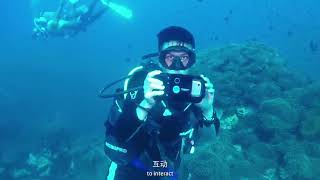 Weefine x Dive Smart Housing demo in Koh Tao [upl. by Gnoy]