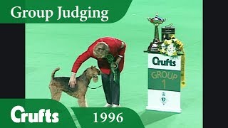 Airedale Terrier wins Terrier Group Judging at Crufts 1996 [upl. by Rivalee]