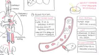 PART II  Pneumonia Transmission Causative Agents Investigations Management [upl. by Pollitt]