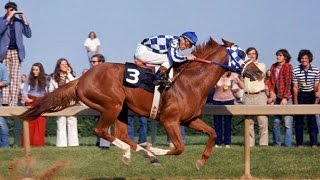 Preakness Stakes 1973 [upl. by Nolana381]