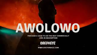 Wizkid Afro Type Beat 2024 quotAWOLOWOquot [upl. by Patterson]