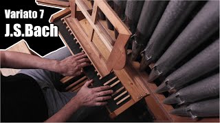 Homemade Pipe Organ  BWV 988 Goldberg Variations by Bach  Variation 7 [upl. by Channa]