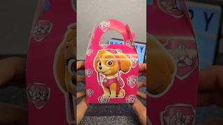 Skye Paw Patrol Mystery Box pawpatrol surprise asmrtoys unboxingtoys toys cutetoys [upl. by Rains]