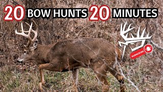 20 Bow Hunts 20 Minutes [upl. by Yurt272]