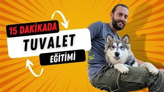 Köpeğinize 15 Dakikada Tuvalet Eğitimi Verin  Köpek Tuvalet Eğitimi Nasıl Verilir [upl. by Griz]