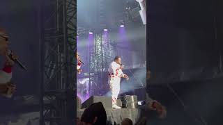 Busta Rhymes live at Dstv Delicious Festival 2024 [upl. by Akcirred]