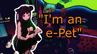 VRChat ePets Exist Now Its All Downhill From Here [upl. by Reginnej]