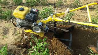 INTER CULTIVATOR FOR MULTIPURPOSE APPLICATIONS [upl. by Lalittah836]