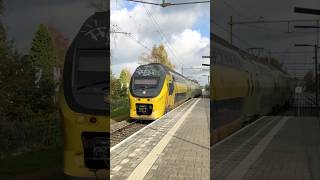 Groene virm 9556 passeert station Brummen treinwereld rails treinleven [upl. by Ferdie44]