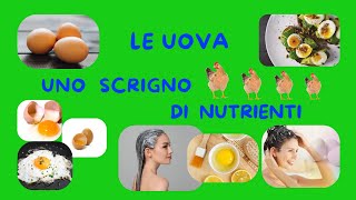 🟠LE UOVA UNO SCRIGNO DI NUTRIENTI❗❗❗ [upl. by Goss]