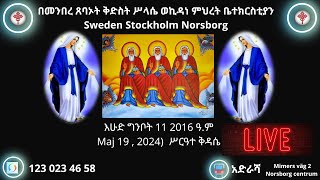 እሁድ ግንቦት 11 2016 ዓም Maj 19  2024 ሥርዓተ ቅዳሴ ቀጥታ ሥርጭት [upl. by Darcia]