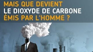 Planète conférences  Mais que devient le dioxyde de carbone émis par lHomme [upl. by Ecallaw909]