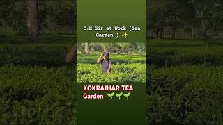 Baganiya Songs  KOKRAJHAR Tea Garden🌱🌱baganiyasongs AalBaalVideo [upl. by Norrahs602]