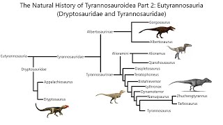 Derived Tyrannosaurs Dryptosaurs and Tyrannosaurids  The Natural History of Life [upl. by Kragh]