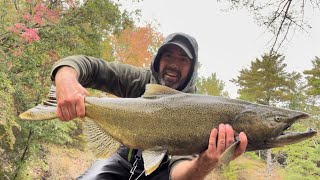 Droppin Bobbers on King Salmon salmonfishing kingsalmon floatfishing greatlakes [upl. by Nomyaw]