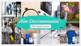 Aim Environmental  Pest Control service  Wasp Nest Removal Wolverhampton  Wasp Exterminator UK [upl. by Lanam]