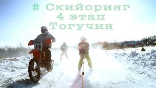 Скийоринг 4 этап Тогучин  skijoring [upl. by Niattirb]