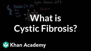 What is cystic fibrosis  Respiratory system diseases  NCLEXRN  Khan Academy [upl. by Juliette226]