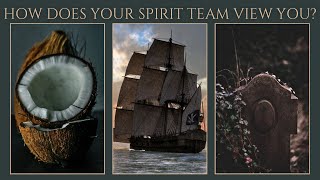 HOW DOES YOUR SPIRIT TEAM VIEW YOU 👀 timeless [upl. by Getraer]