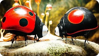 MINUSCULE 2  LES MANDIBULES DU BOUT DU MONDE Bande Annonce 2019 [upl. by Erlina37]