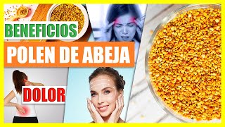 Increíbles Beneficios del Polen de Abeja  Consúmelo a Diario Dolor Articular Rejuvenecer Piel [upl. by Rees522]