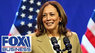 Democrats are throwing out this Hail Mary to save Kamala Harris campaign panelist warns [upl. by Kriste]