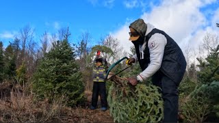 Christmas tree Hunting  Drysdale’s Farm  DJI NEO [upl. by Laud853]