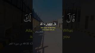 اذكر الله 🤍explore اكسبلور قرآن قرانكريم DrHamasSerour viralvideo viralshorts share [upl. by Braswell885]