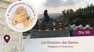 🙏 Día 36  La oración del Señor Hágase tu Voluntad  Peregrinación de la Oración [upl. by Nivram188]