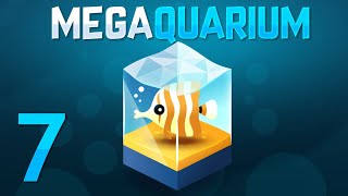 Megaquarium  Part 7  CORAL TANK [upl. by Gabel]