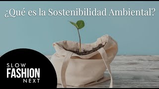 ¿Qué es la sostenibilidad ambiental [upl. by Ehcram]