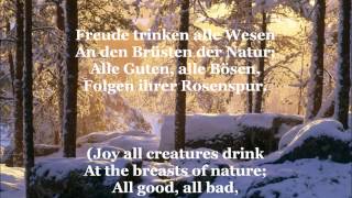 Ode an die Freude  Song Of Joy with German lyrics amp English translation [upl. by Yelwah]