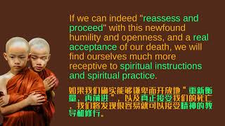 The Tibetan Book of Living and Dying 西藏生死书 14 Sogyal Rinpoche reflection and change 2 [upl. by Lynd]