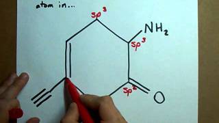 What is the hybridization of each atom in this molecule [upl. by Yoong43]