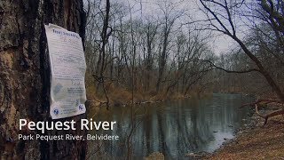 Pequest River Trout [upl. by Ziul291]