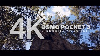 DJI Osmo Pocket 3 Cinematic video test [upl. by Litsyrk]