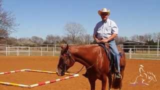 Horse Training  Trail with Will Knabenshue Performing the Cloverleaf Exercise [upl. by Yvonner]