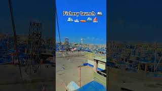 Fishery launch fypシ゚viral my youtubchannelsubscribe viralshorts viralvideo [upl. by Dolhenty]