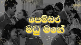 පෙම්බර මධු මගේ Pembara madu mage  Raveen Kanishka  Paaradige  Uddika Dusheni Cover [upl. by Rew805]