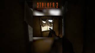 😂 Stalker 2 Developers Added This To Make Fun Of Us stalker2 [upl. by Willner455]