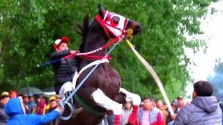 El Magia Negra  Sebastián Almendras quotEl Cuarto De Millaquot Corridos De Caballos [upl. by Nitsoj]