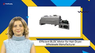 Efficient BLDC Motor for Hair Dryer Wholesale Manufacturer [upl. by Rennold]