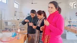 Adulteration in Food🫕Testing for Sugar🥣 Chilli🌶️ Turmeric🍠 and Milk 🥛 VALUE ADDED COURSE [upl. by Cuthbert]