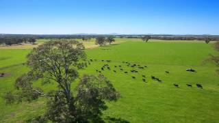 Sold By Inglis Rural Property  BECKWORTH COURT  BALLARAT VICTORIA  SOLD BY INGLIS RURAL PROPERTY [upl. by Lombardo981]