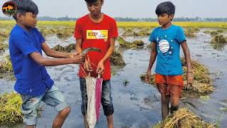 😲Unbelievable Boys Catching Big Shoal fish By Hand in Mud Water🖤Best Smart Hand Shoal Fishing Video [upl. by Caesar]