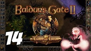 Baldurs Gate II Enhanced Edition Part 14  The Wild Forest [upl. by Abisha623]