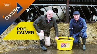 Crystalyx PreCalver Scientific Breakthroughs in Spring Calving Supplementation [upl. by Kind]