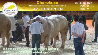 Concours race Charolaise 23 [upl. by Divadnoj]