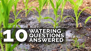 10 Ways to Water Your Garden Better [upl. by Dallas]